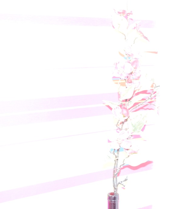 v3