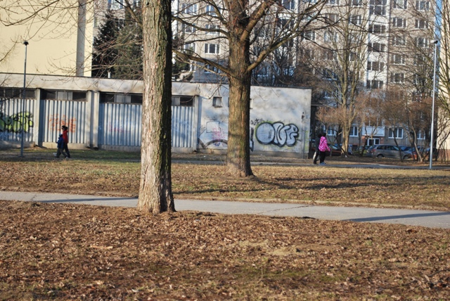 DSC_4363