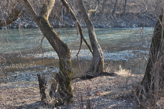 DSC_4381