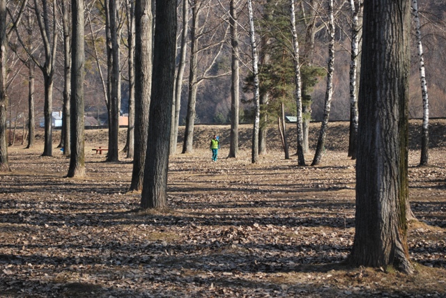 DSC_4470