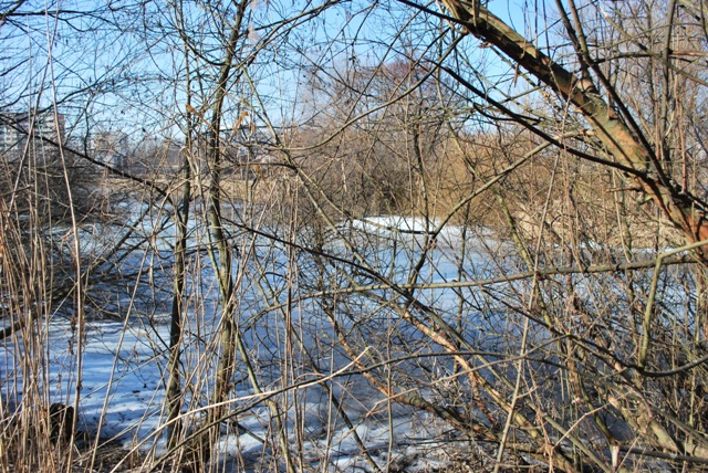 DSC_4483