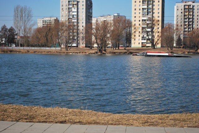 DSC_4506