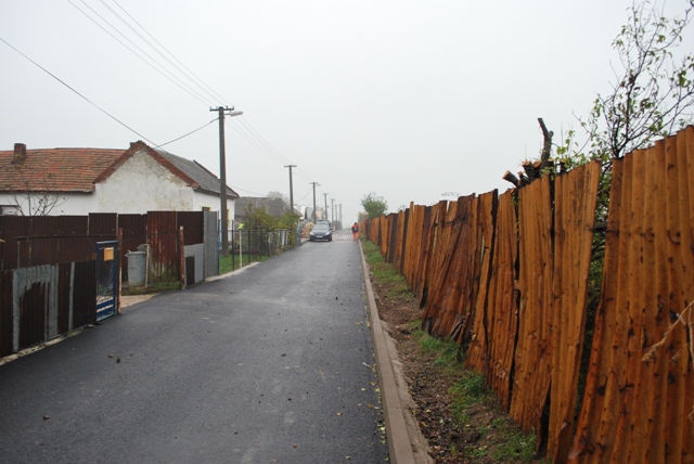 vysadba_velke_Ozorovce (2)