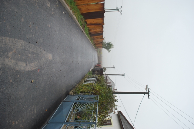 vysadba_velke_Ozorovce (7)