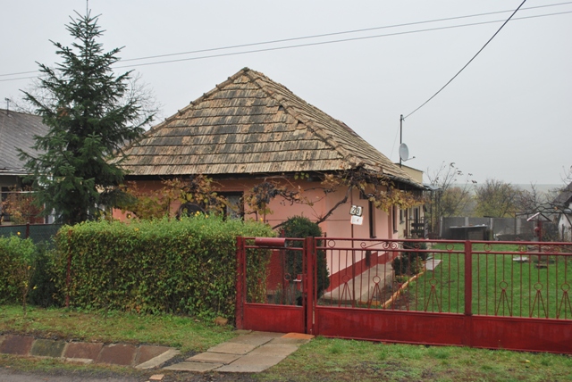 vysadba_velke_Ozorovce (40)