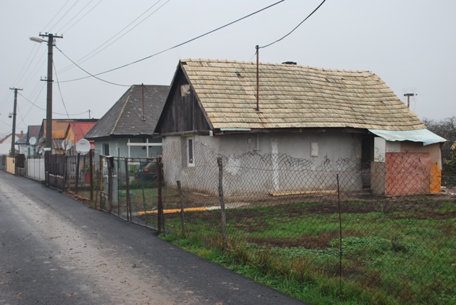 vysadba_velke_Ozorovce (44)