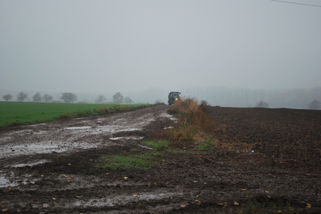 vysadba_velke_Ozorovce (46)