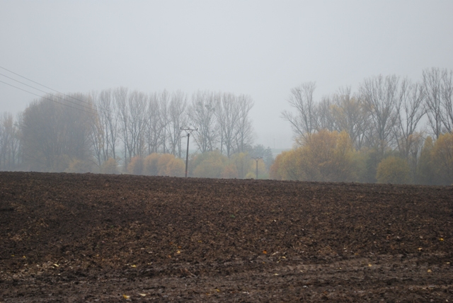 vysadba_velke_Ozorovce (47)