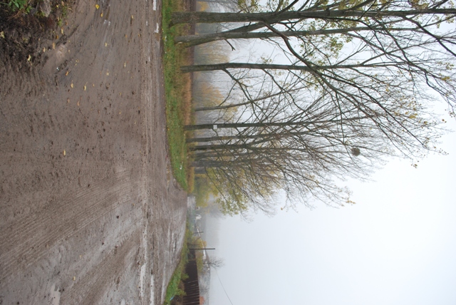 vysadba_velke_Ozorovce (53)