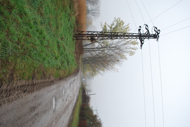 vysadba_velke_Ozorovce (55)