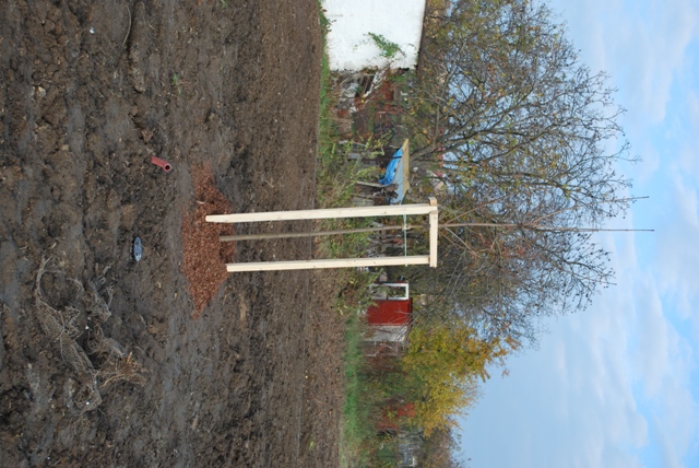 vysadba_velke_Ozorovce (58)