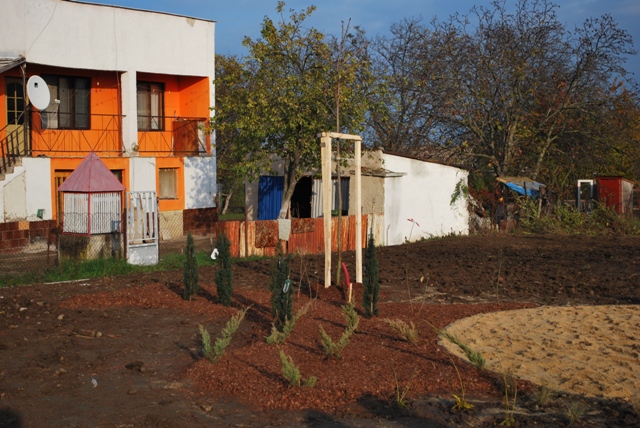 vysadba_velke_Ozorovce (61)