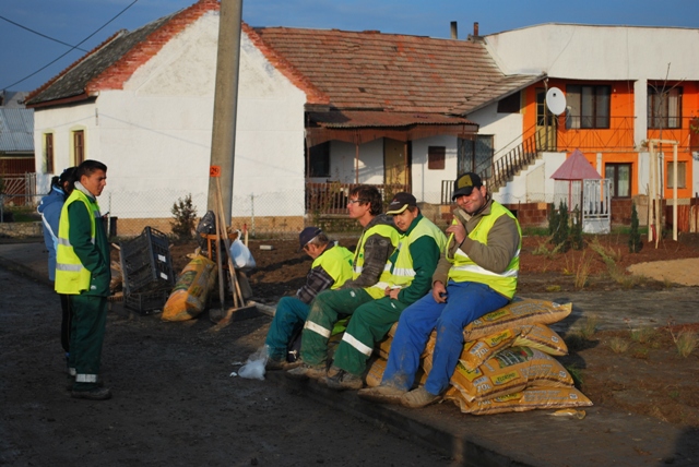 vysadba_velke_Ozorovce (65)