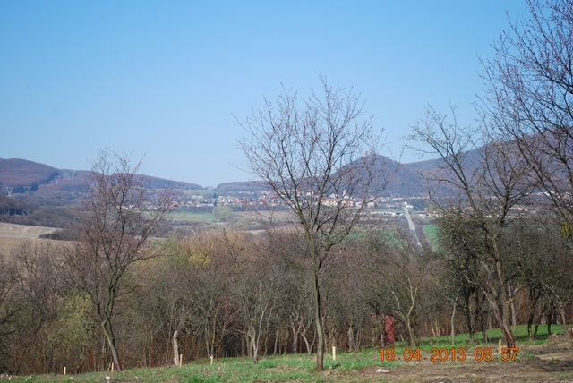 DSC_6208
