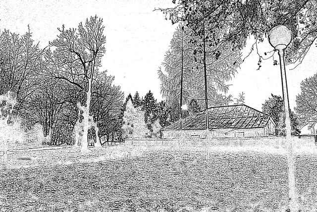 vychádzka  (3)
