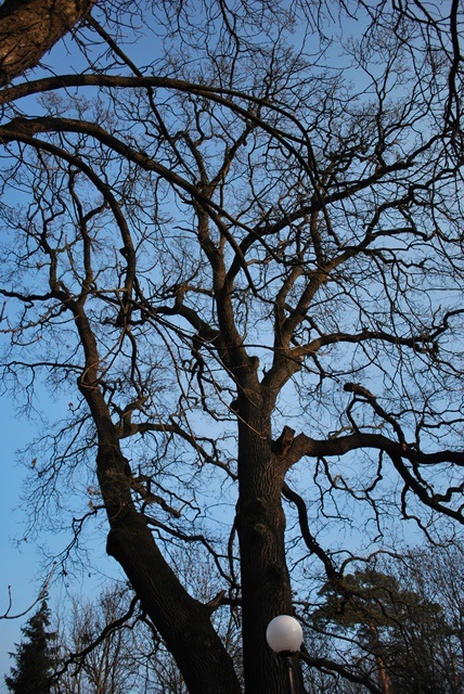 vychádzka  (6)