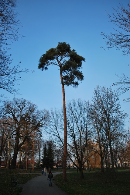 vychádzka  (10)