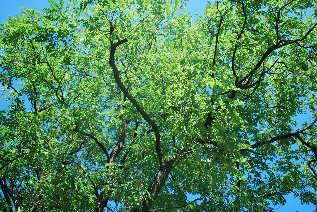 DSC_0503