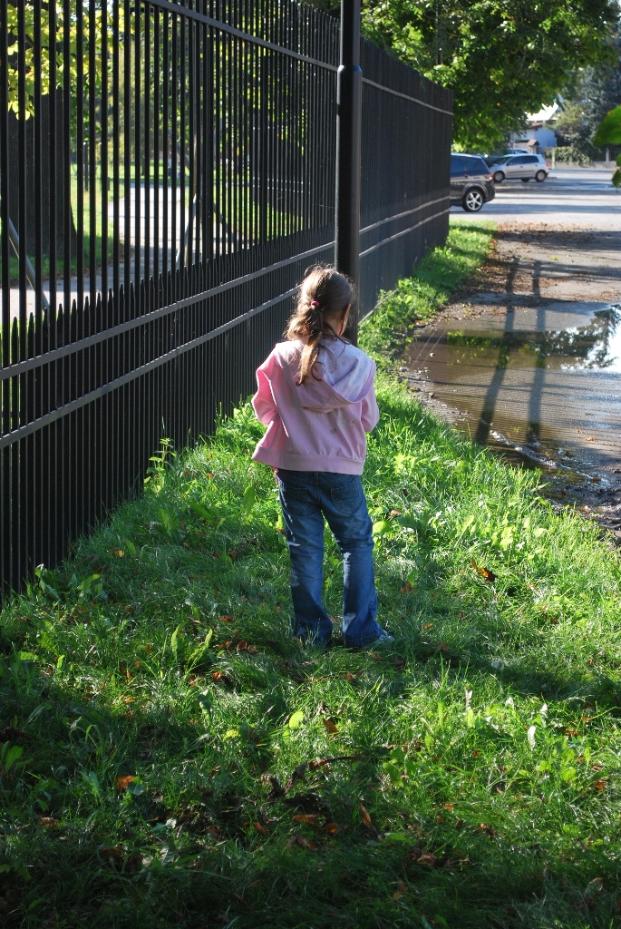 DSC_0507