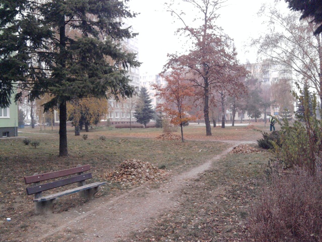 Fotografia1964