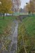 vysadba_velke_Ozorovce (19)