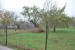 vysadba_velke_Ozorovce (30)