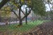 vysadba_velke_Ozorovce (35)