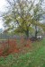 vysadba_velke_Ozorovce (36)
