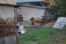 vysadba_velke_Ozorovce (37)
