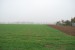 vysadba_velke_Ozorovce (38)
