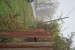 vysadba_velke_Ozorovce (42)