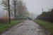 vysadba_velke_Ozorovce (45)