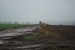 vysadba_velke_Ozorovce (46)