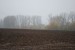 vysadba_velke_Ozorovce (47)