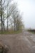 vysadba_velke_Ozorovce (53)