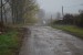 vysadba_velke_Ozorovce (54)